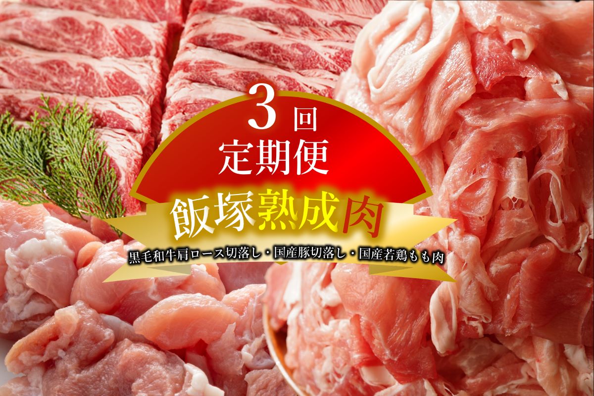 BS6133_湯浅熟成肉 薄切り 牛タン スライス 500g｜ふるラボ