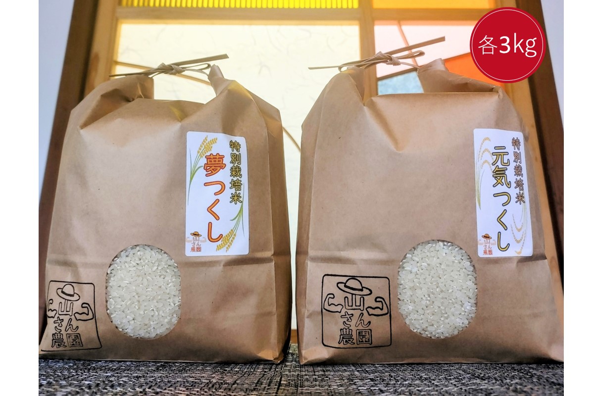 先月かな福岡県産　夢つくし　玄米30kg ３袋