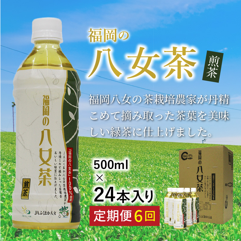 F-020】八女茶 煎茶ペットボトル 500ml×24本 【6カ月定期便】｜ふるラボ