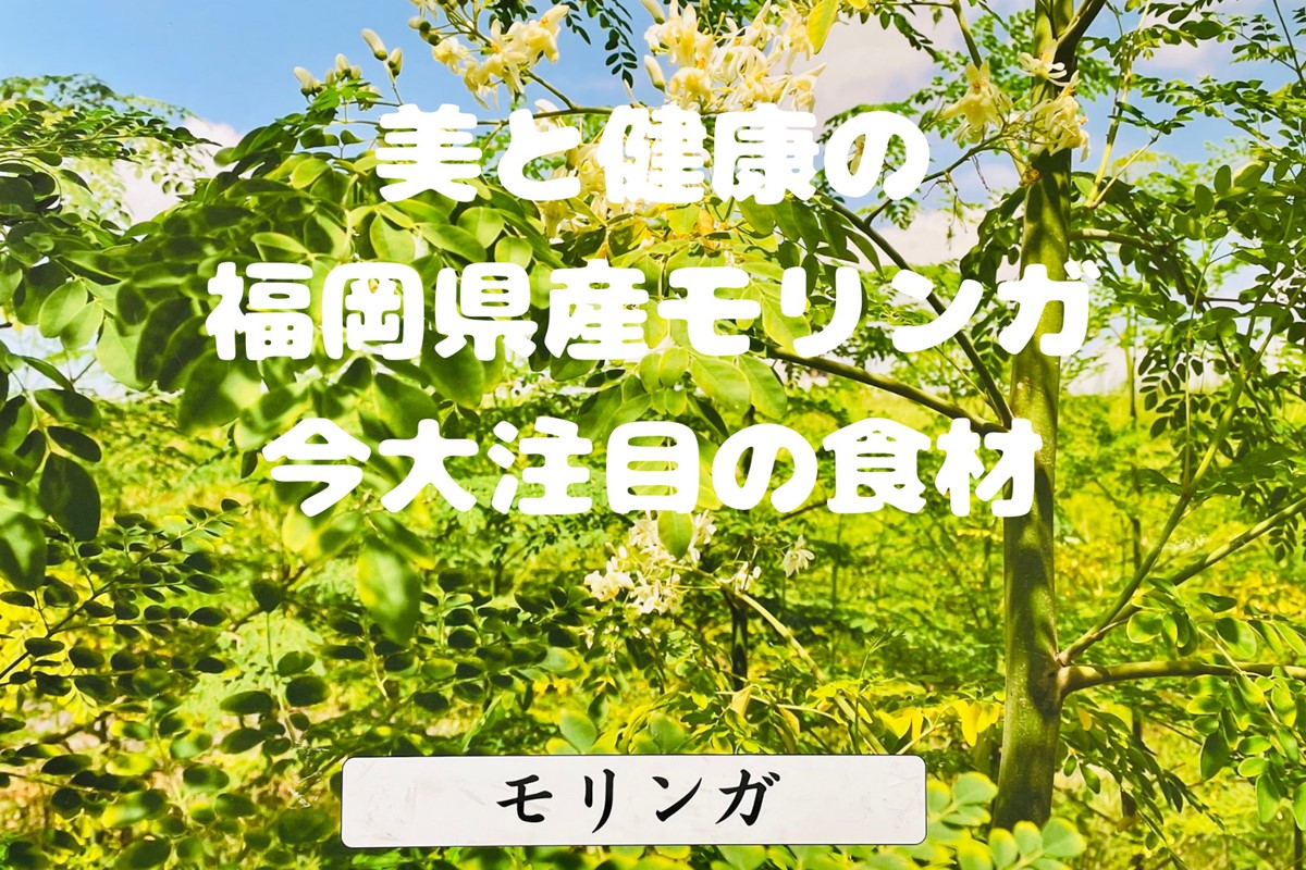B-159】モリンガ珈琲・オーガニック和紅茶・ほうじ茶・煎茶・モリンガ 