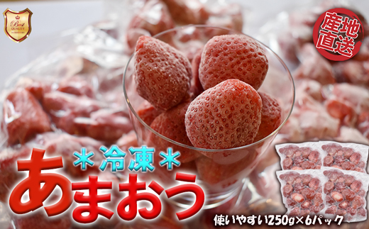 摘みたて瞬間★冷凍あまおう小分けパック1kg（250g×4P）[F0106]