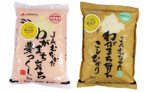 年6回偶数月☆夢つくし＆コシヒカリ計4kg×6回 令和5年産【2月開始