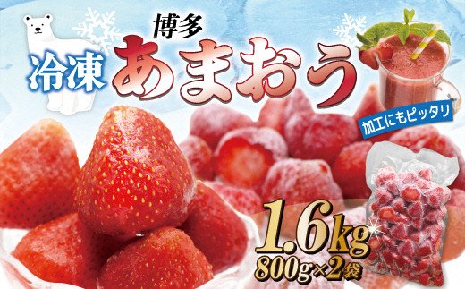 冷凍「博多あまおう」800g×2袋　計1.6kg[E4001a]