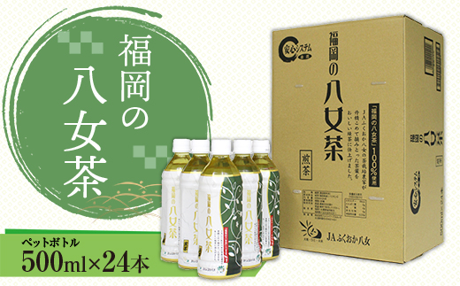 CZ001 福岡の八女茶 煎茶ペットボトル(500ml)×24本