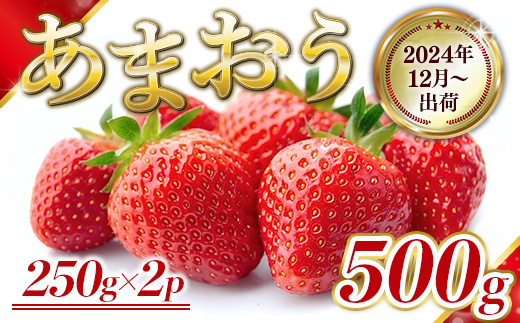 MZ043　福岡県産 あまおう 500g 先行予約 2024年12月より順次発送