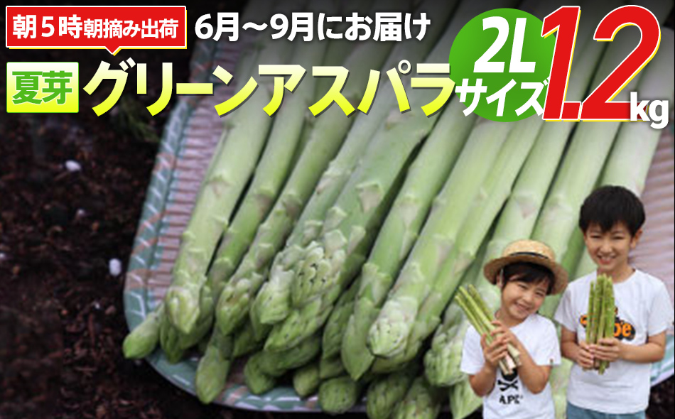 【先行予約】　朝採り直送　夏芽グリーンアスパラガス（2L）１.2kg　BT06