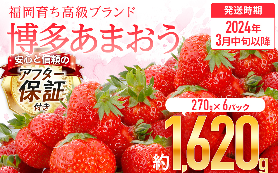 アフター保証】福岡県産 JAグループ あまおういちご 1620g（約270g×6