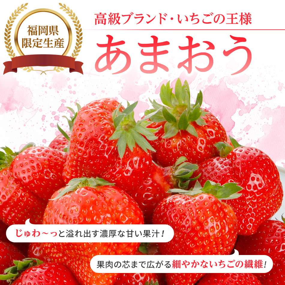 数量限定】福岡県産あまおういちご 1620g（約270g×6パック） 【2023年3月より順次発送】 AG009｜ふるラボ