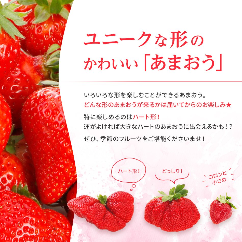 数量限定】福岡県産あまおういちご 1620g（約270g×6パック） 【2023年3月より順次発送】 AG009｜ふるラボ