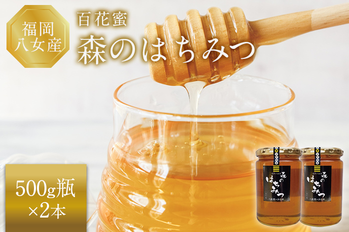 日本蜂蜜の蜂蜜 500g瓶2セット - その他