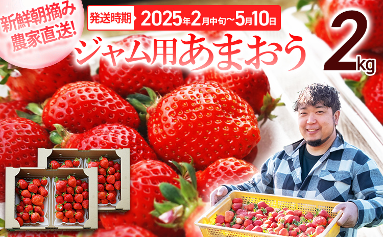 ジャム用あまおう2kg ※2025年2月中旬～5月10日頃にかけて順次出荷予定 BD07