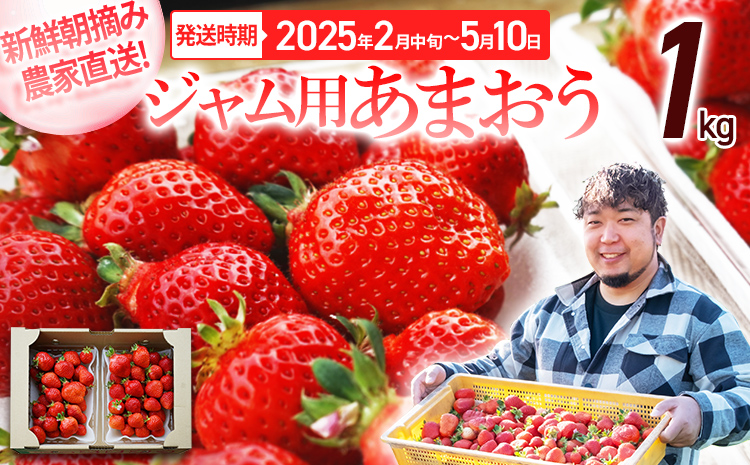 ジャム用あまおう1kg ※2025年2月中旬～5月10日頃にかけて順次出荷予定 BD08