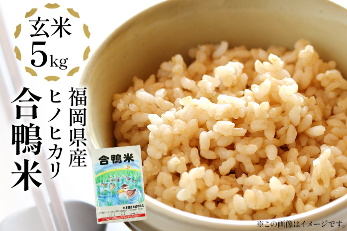 令和6年産 予約 合鴨米「ヒノヒカリ」（玄米・5ｋｇ） ※2024年10月中旬より順次出荷予定 BI03 ｜ふるラボ