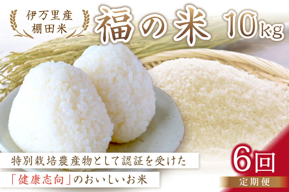 【10月から順次発送】 令和6年産 特別栽培 棚田米「福の米」 10kg×6回 （定期便） B676