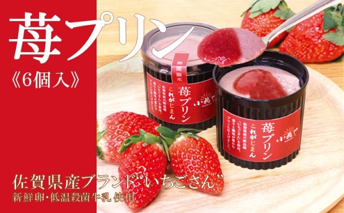 佐賀県産ブランド“いちごさん”100％使用 苺プリン６個入 F169