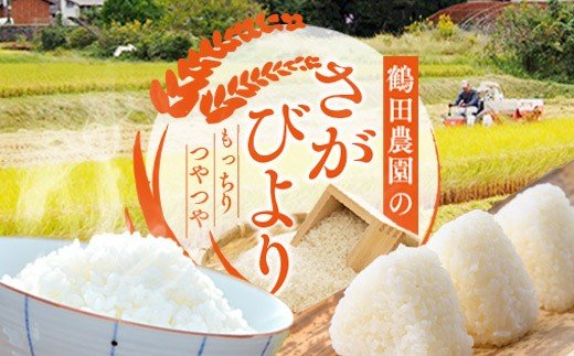 【令和6年産新米予約】ひとみちゃんちの「さがびより」10kg B101