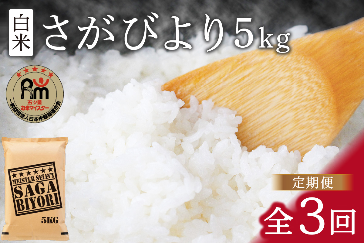 令和6年産 《マイスターセレクト》 さがびより【白米】 5kg×３回 B699