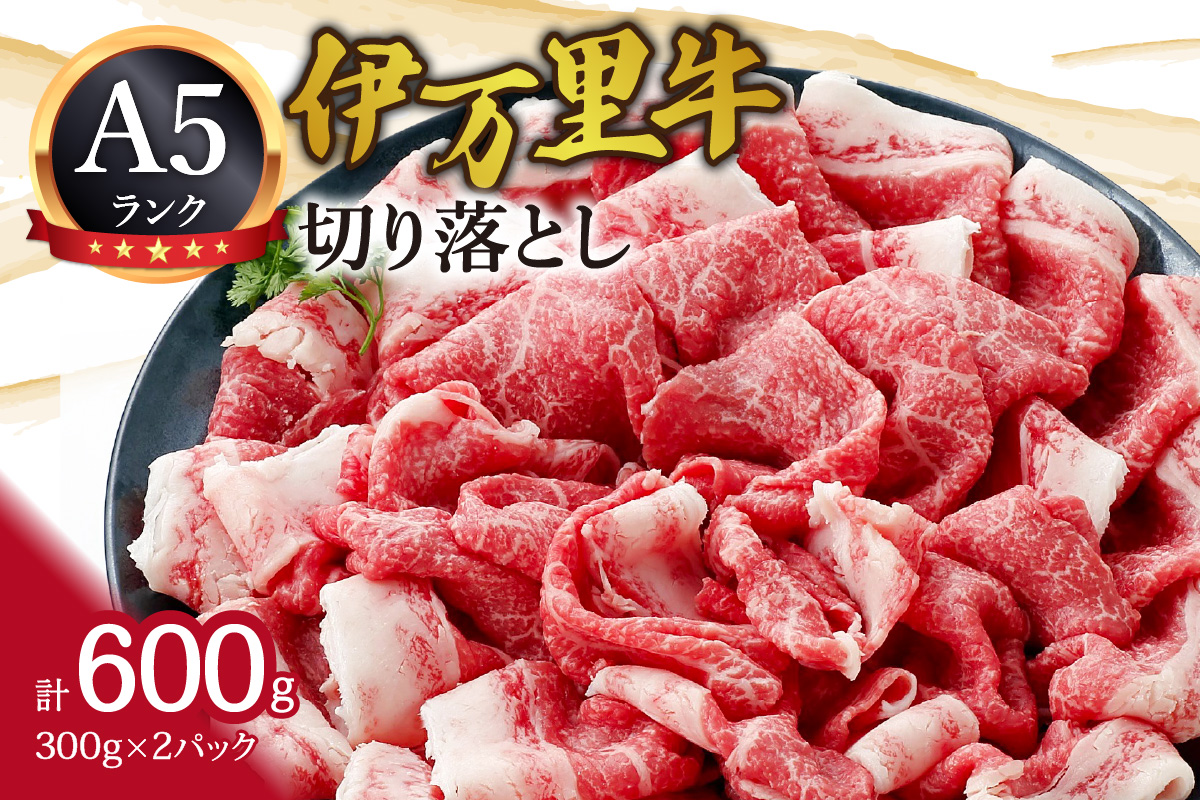 A5 A4厳選 伊万里牛切り落とし 600g 小分け 焼肉 牛丼 炒め物に J940