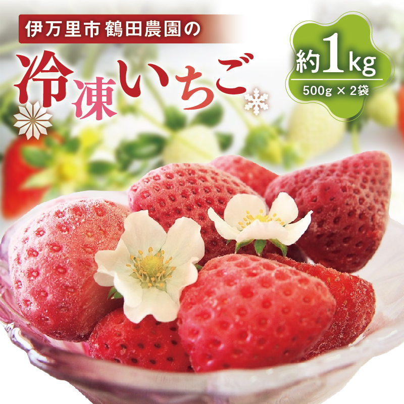 【数量限定】伊万里産急速冷凍いちご1kg　～鶴田農園～ B383