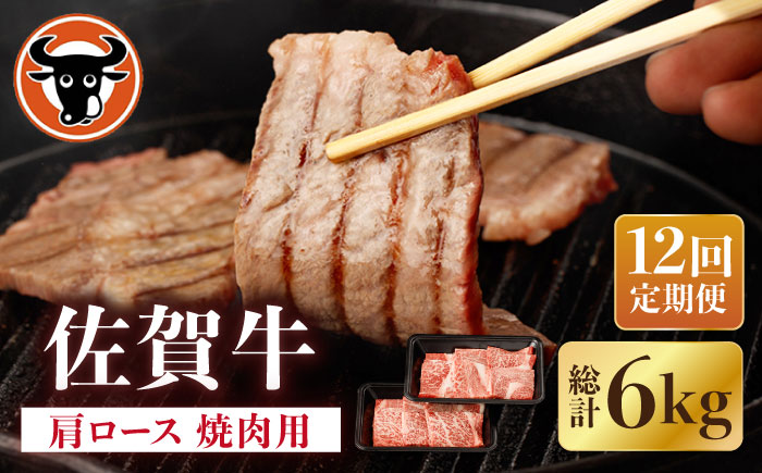 【12回定期便】佐賀牛 肩ロース 焼肉用 計500g（250g×2p）【一ノ瀬畜産】 [NAC154]