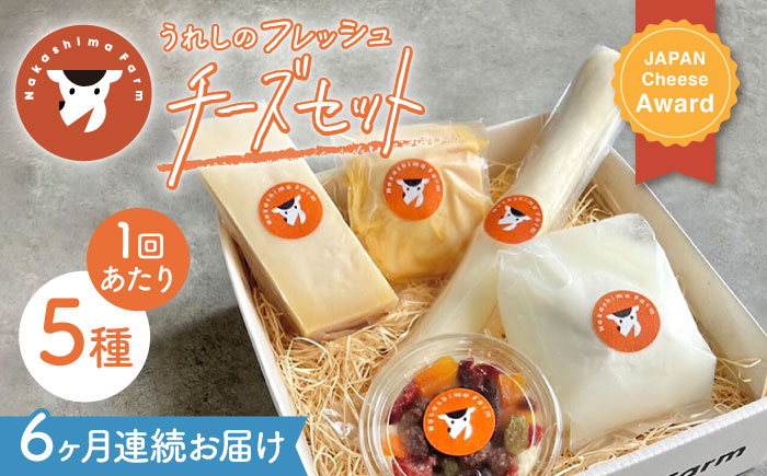 【6回定期便】うれしのフレッシュチーズ5種セット【ナカシマファーム】 [NAJ102]
