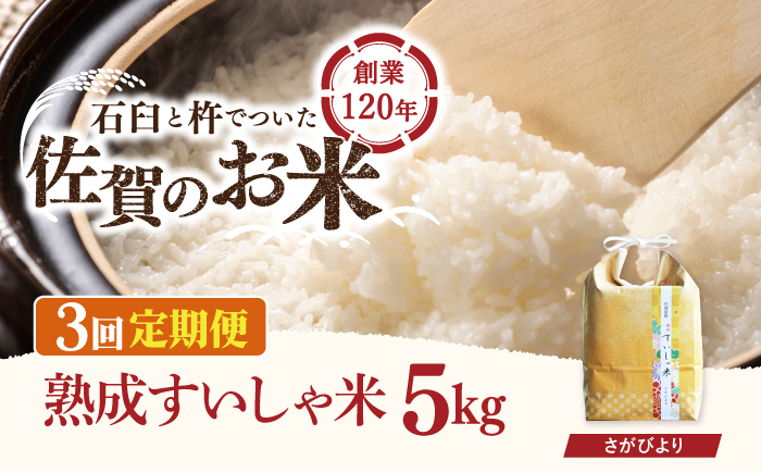 【3回定期便】 令和6年産  佐賀県産 さがびより 5kg【一粒】NAO039