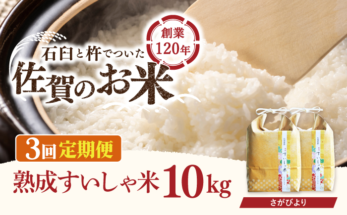 【3回定期便】 令和6年産  佐賀県産 さがびより 10kg【一粒】NAO042