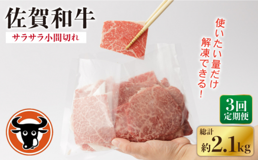 [3回定期便] 佐賀和牛 サラサラ 小間切れ (切落し) 700g (350g×2P)[一ノ瀬畜産]