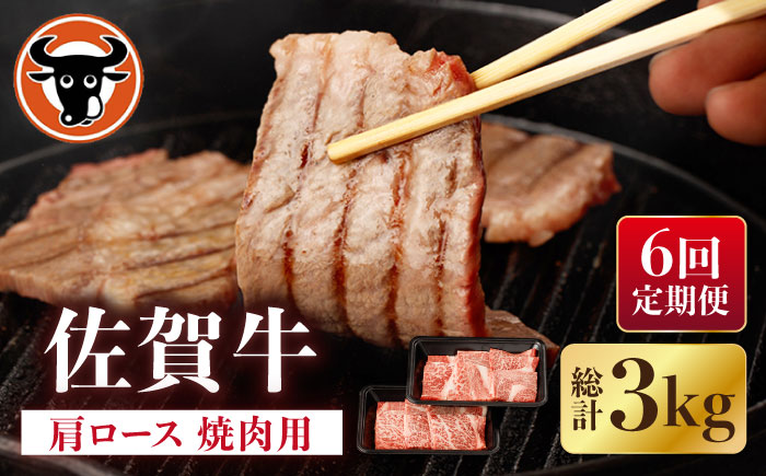 【6回定期便】佐賀牛 肩ロース 焼肉用 計500g（250g×2p）【一ノ瀬畜産】 [NAC153]