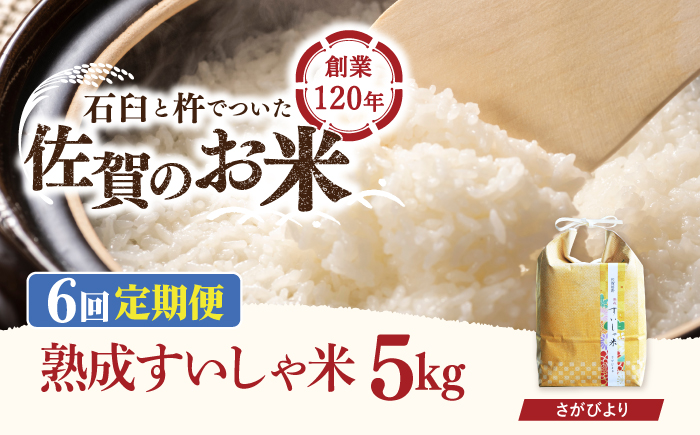 【6回定期便】 令和6年産  佐賀県産 さがびより 5kg【一粒】NAO040