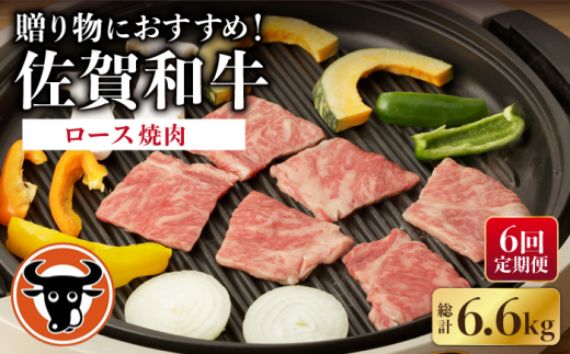 【6回定期便】 佐賀和牛 ロース 焼肉 1.1kg 【一ノ瀬畜産】 NAC135