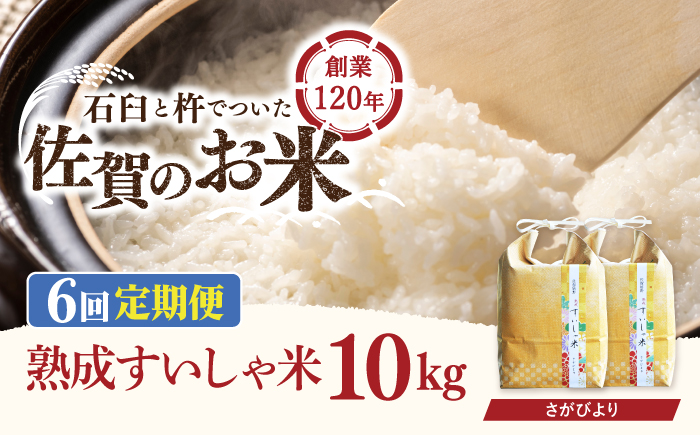 【6回定期便】 令和6年産  佐賀県産 さがびより 10kg【一粒】NAO043