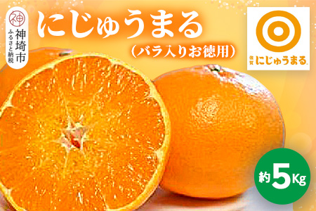 【2025年3月上旬より発送開始】にじゅうまる 約5kg バラ入りお徳用【佐賀県 みかん 柑橘 果物 くだもの フルーツ】(H116162)