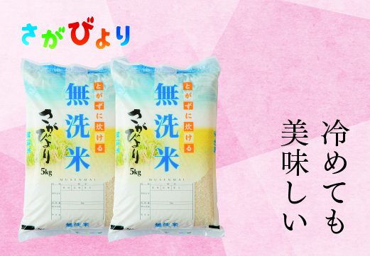 2月発送】令和5年産 さがびより 無洗米 5kg×2 【ふるさと納税 国産