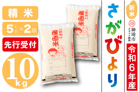 【令和6年産 新米先行受付】さがびより 精米 5kg×2【米 5kg×2 お米 コメ おいしい ランキング 人気 国産 ブランド 地元農家】 (H061305)