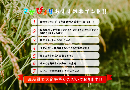 2月発送】令和5年産 さがびより 無洗米 5kg×2 【ふるさと納税 国産