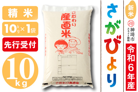 【令和6年産 新米先行受付】さがびより 精米 10kg【米 10kg お米 コメ おいしい ランキング 人気 国産 ブランド 地元農家】(H061304)