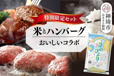 【2回定期便】特別限定セット さがびよりと佐賀牛ハンバーグ おいしいコラボ【米 ブランド米 肉 牛肉 ブランド牛 ハンバーグ お手軽】(H996P107)