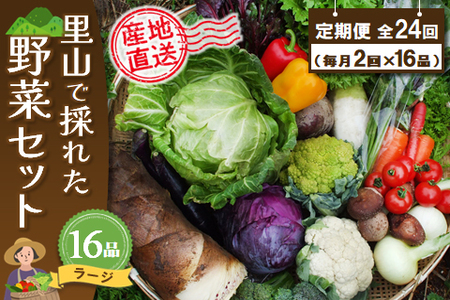 年間定期便24回 里山で採れた野菜セットラージ 16品 【有機野菜 おまかせ野菜セット イタリア野菜 西洋野菜 定期便】(H078111)