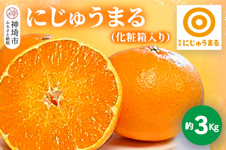 【2025年3月上旬より発送開始】にじゅうまる 約3kg 化粧箱入り【佐賀県 みかん 柑橘 果物 くだもの フルーツ】(H116161)