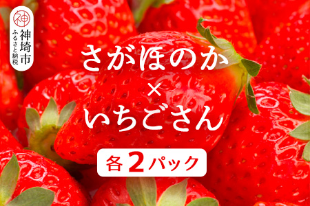 苺(さがほのか・いちごさん)各2パック【果物 くだもの フルーツ イチゴ 佐賀】(H116136)