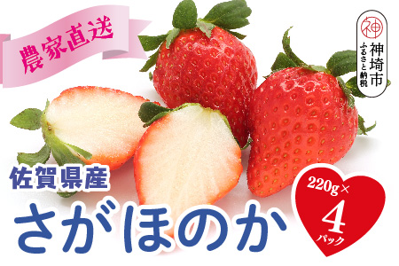 【農家直送】さがほのか220g×4パック【いちご 苺 イチゴ 果物 フルーツ スイーツ デザート ふるさと納税】(H117102)