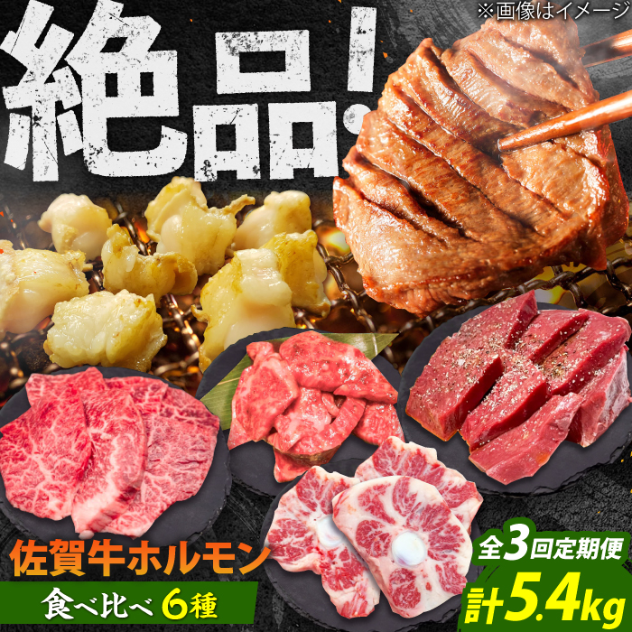 【全3回定期便】佐賀牛6種食べ比べ！ ホルモンバラエティセット 5.4kg 4-5人前 タン・小腸など 吉野ヶ里町/やきとり紋次郎 [FCJ104]