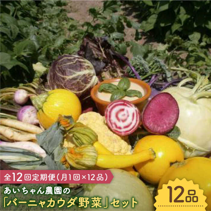 【12品×12回定期便】「バーニャカウダなどに♪」農薬に頼らない！カラダにやさしいお野菜の詰め合わせ【吉野ヶ里あいちゃん農園】[FAA030]