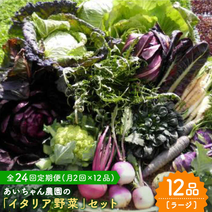 【12品×24回定期便】農薬に頼らない！カラダにやさしい「イタリア野菜」セット（ラージ）【吉野ヶ里あいちゃん農園】[FAA023]