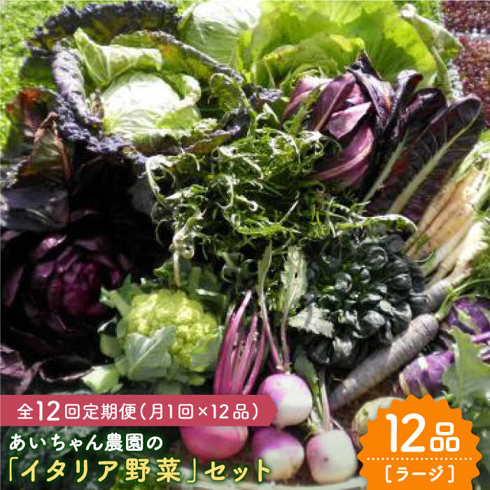 【12品×12回定期便】農薬に頼らない！カラダにやさしい「イタリア野菜」セット（ラージ）【吉野ヶ里あいちゃん農園】[FAA022]