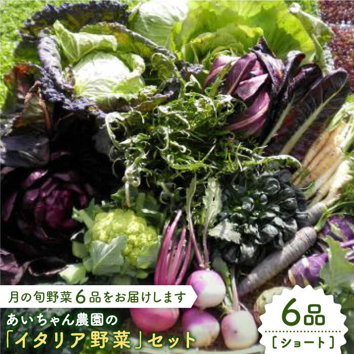 【6品】農薬に頼らない！カラダにやさしい「イタリア野菜」セット（ショート）【吉野ヶ里あいちゃん農園】[FAA013]