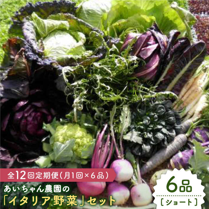 【6品 / 12回定期便】農薬に頼らない！カラダにやさしい「イタリア野菜」セット（ショート）【吉野ヶ里あいちゃん農園】[FAA014]