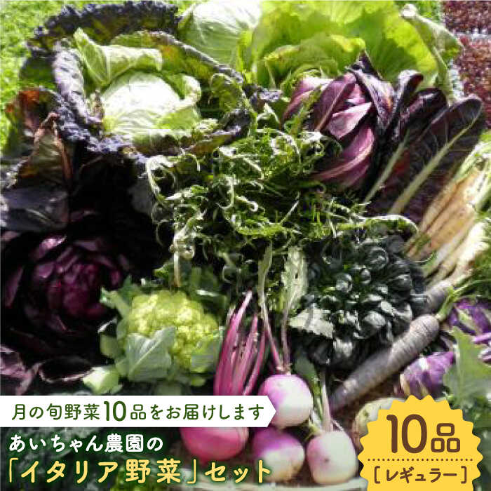 【10品】農薬に頼らない！カラダにやさしい「イタリア野菜」セット（レギュラー）【吉野ヶ里あいちゃん農園】[FAA017]