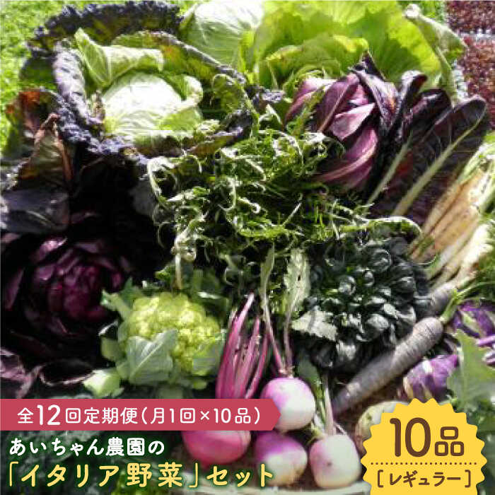 【10品×12回定期便】農薬に頼らない！カラダにやさしい「イタリア野菜」セット（レギュラー）【吉野ヶ里あいちゃん農園】[FAA018]